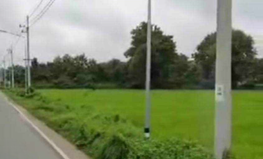 Land for sale in Ban Mae, Chiang Mai