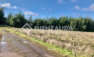 Sitio en Venta en Camino interior Aurora / Cercano Viña Terra Noble