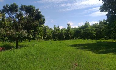 Land for sale in Ban Sahakon, Chiang Mai