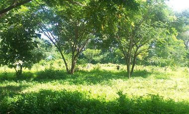 Land for sale in Ban Sahakon, Chiang Mai