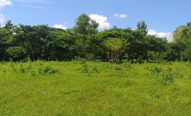 Land for sale in Ban Sahakon, Chiang Mai