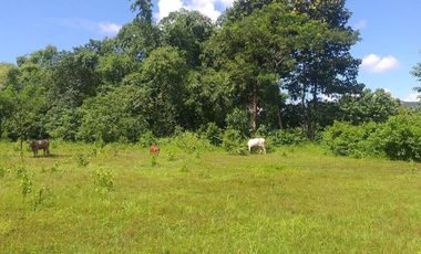 Land for sale in Ban Sahakon, Chiang Mai
