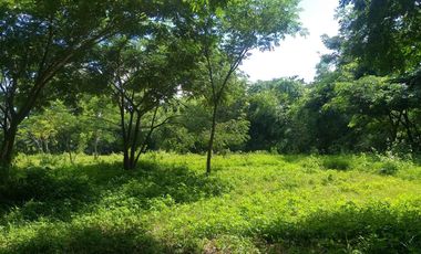 Land for sale in Ban Sahakon, Chiang Mai