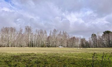 ESPECTACULAR PARCELA PLANA CON BOSQUE LLIU LLIU VILLARRICA