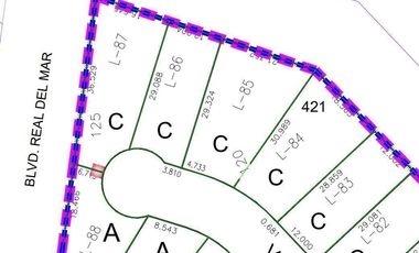 Terreno en Venta en Palma  Real