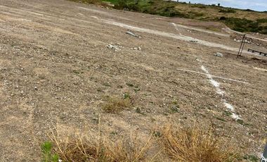 Terreno en Venta en Palma  Real