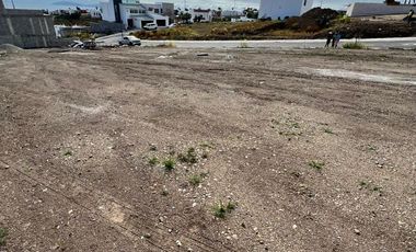Terreno en Venta en Palma  Real