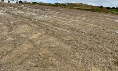 Terreno en Venta en Palma  Real