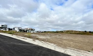 Terreno en Venta en Palma  Real