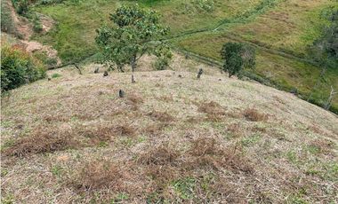 Lote en Venta en Vía San Vicente - El Peñol, para 3 Construcciones.