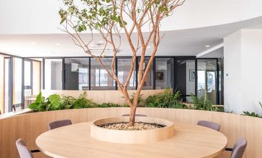 Bucareli departamento en renta