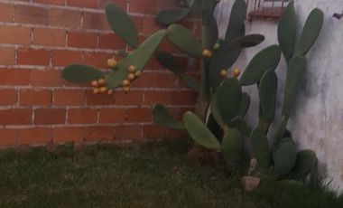 Casa 4 ambientes en Playas del Sur - Faro