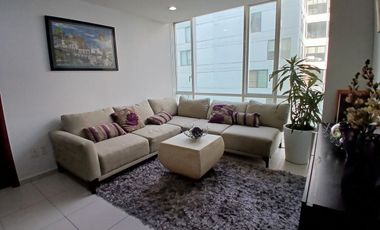 DEPARTAMENTO EN RENTA / CARSO