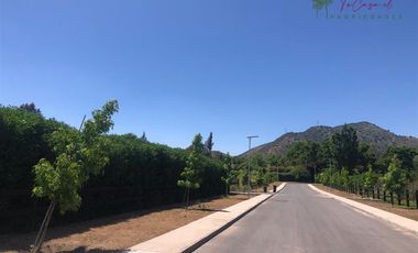 Parcela en Venta en Catemito - Calera Tango