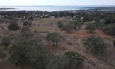 TAMPICO, CIUDAD CUAUHTEMOC, TERRENO, PUEBLO VIEJO