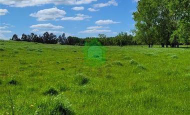 Parcela en Venta en Hijuelas N°3 Barro Blanco