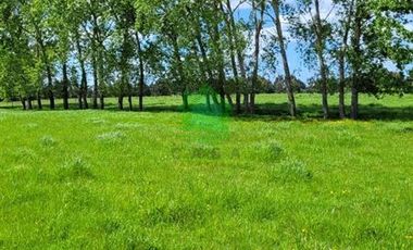 Parcela en Venta en Hijuelas N°3 Barro Blanco