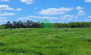Parcela en Venta en Hijuelas N°3 Barro Blanco