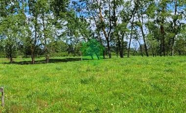 Parcela en Venta en Hijuelas N°3 Barro Blanco