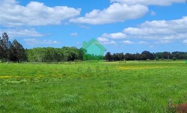 Parcela en Venta en Hijuelas N°3 Barro Blanco