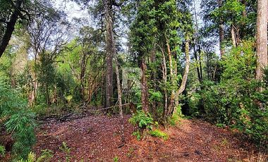 CABAÑA EN PARCELA CON HERMOSO BOSQUE NATIVO EN PUERTO VARAS