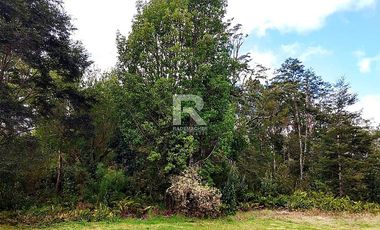 CABAÑA EN PARCELA CON HERMOSO BOSQUE NATIVO EN PUERTO VARAS