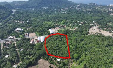 Parcela Colonia La Puerta Zihuatanejo Guerrero.