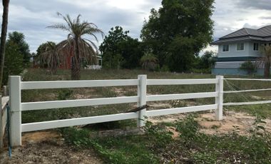 Land for sale in Bang Kao, Phetchaburi