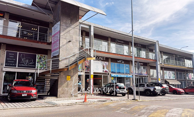 Renta de locales en  Plaza Pabellón Real
