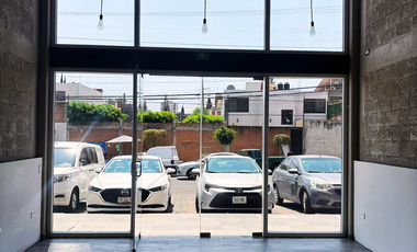 Renta de locales en  Plaza Pabellón Real