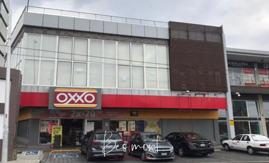 Renta de locales en  Plaza Pabellón Real