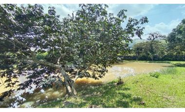 VENTA  LOTE CAMPESTRE CON MEJORA EN POTRERITO