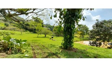 VENTA  LOTE CAMPESTRE CON MEJORA EN POTRERITO