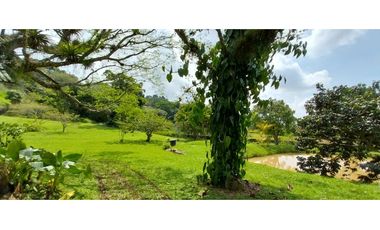 VENTA  LOTE CAMPESTRE CON MEJORA EN POTRERITO