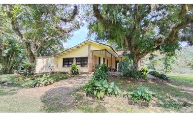 VENTA  LOTE CAMPESTRE CON MEJORA EN POTRERITO