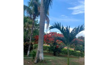 VENDO HERMOSA FINCA  ANAPOIMA VEREDA LAS MERCEDES SM 8253710