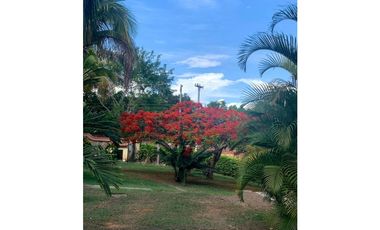 VENDO HERMOSA FINCA  ANAPOIMA VEREDA LAS MERCEDES SM 8253710