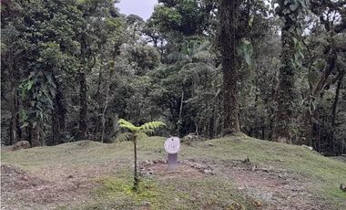 LOTE EN VENTA VALLE BONITO ALTOS DEL MARIA