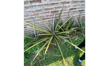 VENDO CASA CON PISCINA Y QUINCHO EN CANDELARIA MNES