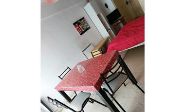 ALQUILER TEMPORARIO -DEPARTAMENTO 1 AMBIENTE-MAR DEL PLATA