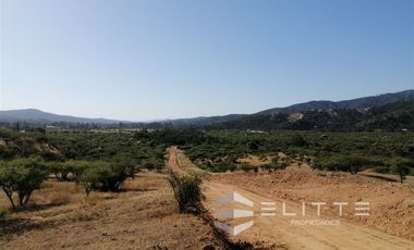 Parcela en Venta en (KRM)Parcela 1.2 ha| Lomaje suave para edificación| Condominio|Factibilidad de Luz y agua|Seguridad 24/7