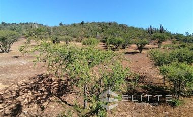 Parcela en Venta en (KRM)Parcela 1.2 ha| Lomaje suave para edificación| Condominio|Factibilidad de Luz y agua|Seguridad 24/7