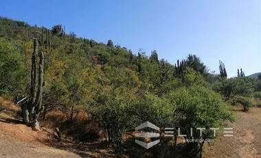 Parcela en Venta en (KRM)Parcela 1.2 ha| Lomaje suave para edificación| Condominio|Factibilidad de Luz y agua|Seguridad 24/7