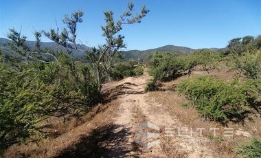Parcela en Venta en (KRM)Parcela 1.2 ha| Lomaje suave para edificación| Condominio|Factibilidad de Luz y agua|Seguridad 24/7