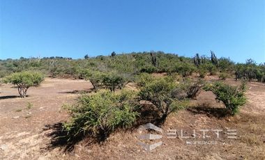 Parcela en Venta en (KRM)Parcela 1.2 ha| Lomaje suave para edificación| Condominio|Factibilidad de Luz y agua|Seguridad 24/7
