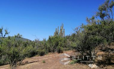 Parcela en Venta en (KRM)Parcela 1.2 ha| Lomaje suave para edificación| Condominio|Factibilidad de Luz y agua|Seguridad 24/7