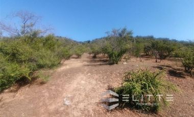 Parcela en Venta en (KRM)Parcela 1.2 ha| Lomaje suave para edificación| Condominio|Factibilidad de Luz y agua|Seguridad 24/7