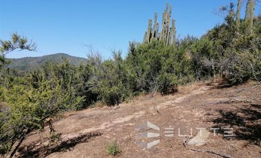Parcela en Venta en (KRM)Parcela 1.2 ha| Lomaje suave para edificación| Condominio|Factibilidad de Luz y agua|Seguridad 24/7