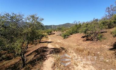 Parcela en Venta en (KRM)Parcela 1.2 ha| Lomaje suave para edificación| Condominio|Factibilidad de Luz y agua|Seguridad 24/7