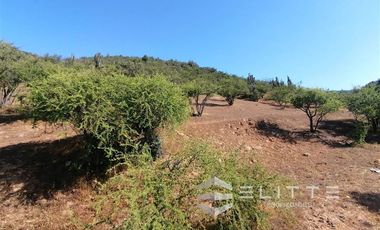 Parcela en Venta en (KRM)Parcela 1.2 ha| Lomaje suave para edificación| Condominio|Factibilidad de Luz y agua|Seguridad 24/7